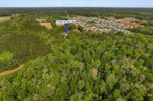 11254 N Hwy 905, Longs, SC 29568 - Photo 37