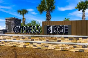 1113 Lauryn Oak Loop, Longs, SC 29568 - Photo 41