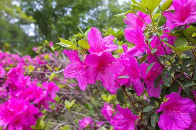 8946 Highmarket St., Georgetown, SC 29440 - Photo 45