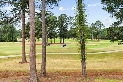 4870 Luster Leaf Circle #201, Myrtle Beach, SC 29577 - Photo 29