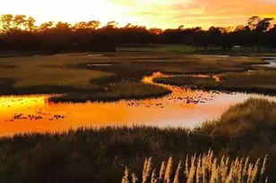 135 Marshland Ct, Myrtle Beach, SC 29572 - Photo 7