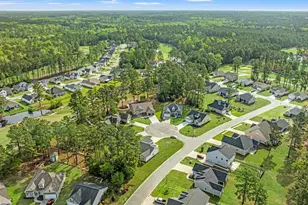 808 Stone Pne Ct, Loris, SC 29569 - Photo 43