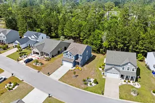 424 Black Cherry Way, Conway, SC 29526 - Photo 43