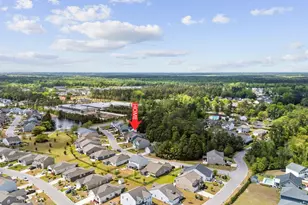 424 Black Cherry Way, Conway, SC 29526 - Photo 45