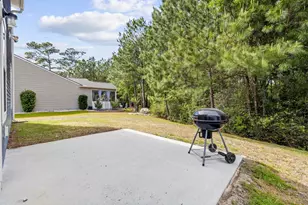 424 Black Cherry Way, Conway, SC 29526 - Photo 41