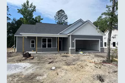 419 St. John Rd., Galivants Ferry, SC 29544 - Photo 1