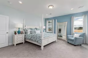 213 Blueberry Fields Ct, Longs, SC 29568 - Photo 13