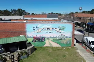 213 Blueberry Fields Ct, Longs, SC 29568 - Photo 43
