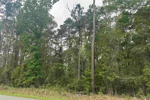 Tbd Creekside Dr, Myrtle Beach, SC 29588 - Photo 1
