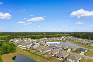 179 Pine Forest Dr, Conway, SC 29526 - Photo 37