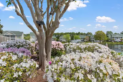 952 SW Great Egret Circle #29C, Sunset Beach, NC 28468 - Photo 3