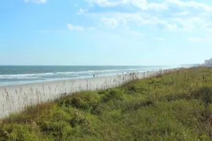 23 Monarch Ct, Pawleys Island, SC 29585 - Photo 43