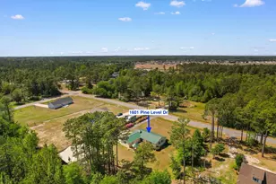 1601 Pine Level Dr, Loris, SC 29569 - Photo 39
