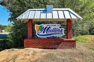 707 Rosemarie Ln, Mullins, SC 29574 - Photo 39