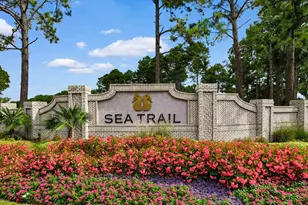 308 Crooked Gulley Cir, Sunset Beach, NC 28468 - Photo 49