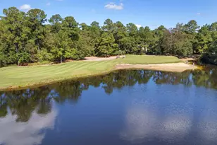 1015 Blue Stem Dr, Pawleys Island, SC 29585 - Photo 25