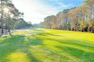 388 Linden Cir, Pawleys Island, SC 29585 - Photo 45