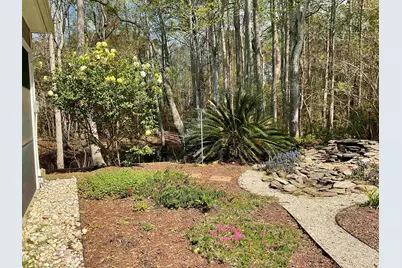 242 Hyacinth Loop, Murrells Inlet, SC 29576 - Photo 43