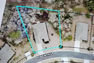 242 Hyacinth Loop, Murrells Inlet, SC 29576 - Photo 45