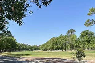 151 Patriot Ln, Pawleys Island, SC 29585 - Photo 41