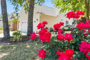 259 Barony Pl, Pawleys Island, SC 29585 - Photo 25