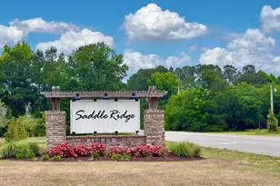 536 Appaloosa Wy, Conway, SC 29527 - Photo 47