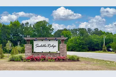 536 Appaloosa Way, Conway, SC 29527 - Photo 31