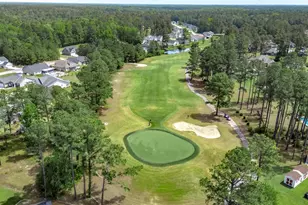 382 Long Meadow Dr, Loris, SC 29569 - Photo 51