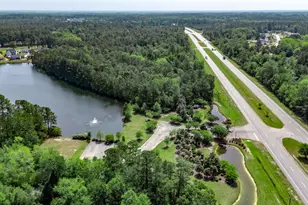 382 Long Meadow Dr, Loris, SC 29569 - Photo 43
