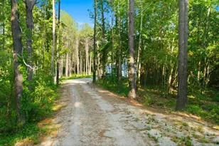 4699 Red Bluff Rd, Loris, SC 29569 - Photo 69