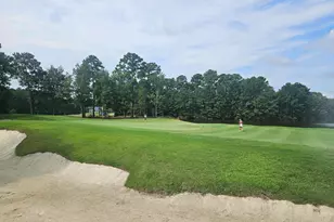 116 Heron Way, Pawleys Island, SC 29585 - Photo 59