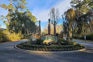 116 Heron Way, Pawleys Island, SC 29585 - Photo 47