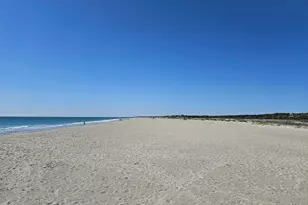 116 Heron Way, Pawleys Island, SC 29585 - Photo 63
