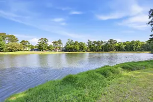 91 Green Wing Teal Ln, Pawleys Island, SC 29585 - Photo 51