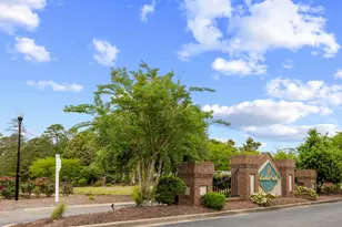 386 Long Meadow Dr, Loris, SC 29569 - Photo 55