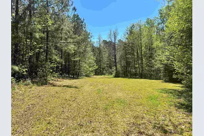 187 Ibis Ln., Winnsboro, SC 29180 - Photo 31