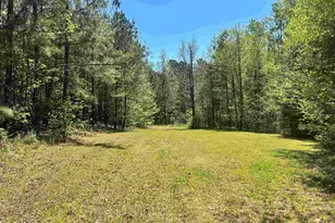 187 Ibis Ln, Winnsboro, SC 29180 - Photo 31