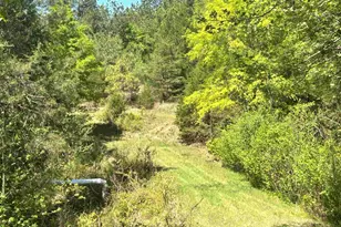 187 Ibis Ln, Winnsboro, SC 29180 - Photo 37