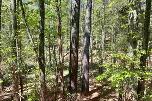 187 Ibis Ln, Winnsboro, SC 29180 - Photo 41