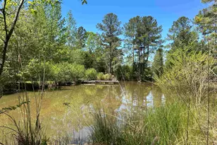 187 Ibis Ln, Winnsboro, SC 29180 - Photo 33