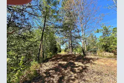 187 Ibis Ln., Winnsboro, SC 29180 - Photo 47
