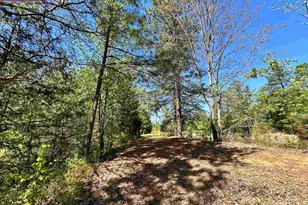 187 Ibis Ln, Winnsboro, SC 29180 - Photo 47