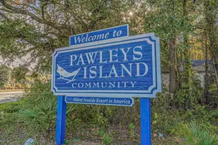 314 Tall Pines Way, Pawleys Island, SC 29585 - Photo 63