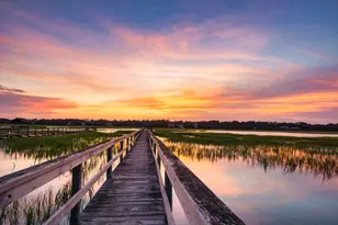 314 Tall Pines Way, Pawleys Island, SC 29585 - Photo 63