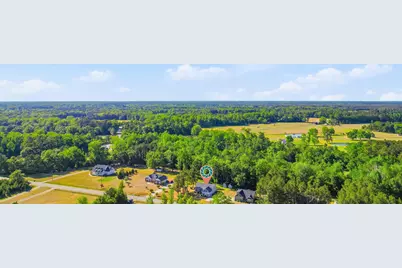 1369 Highway 915, Loris, SC 29569 - Photo 43