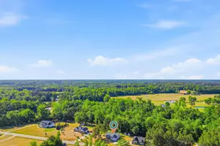 1369 Hwy 915, Loris, SC 29569 - Photo 43