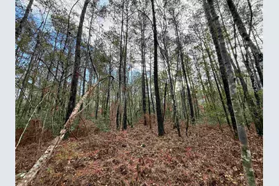Tract C - Tbd Pennyroyal Rd., Georgetown, SC 29440 - Photo 21