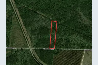 Tract C - Tbd Pennyroyal Rd., Georgetown, SC 29440 - Photo 23