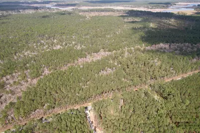 Tract C - Tbd Pennyroyal Rd., Georgetown, SC 29440 - Photo 5