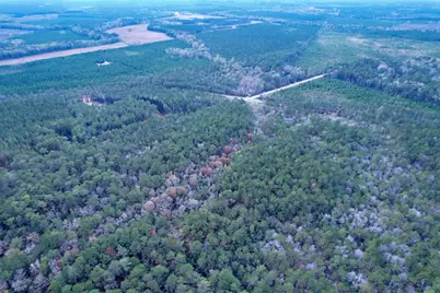 Tract C - Tbd Pennyroyal Rd., Georgetown, SC 29440 - Photo 13
